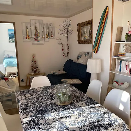 T3 Front De Ocean - 22m2 Terrasse -2 Piscines -wifi-parking * Lacanau
