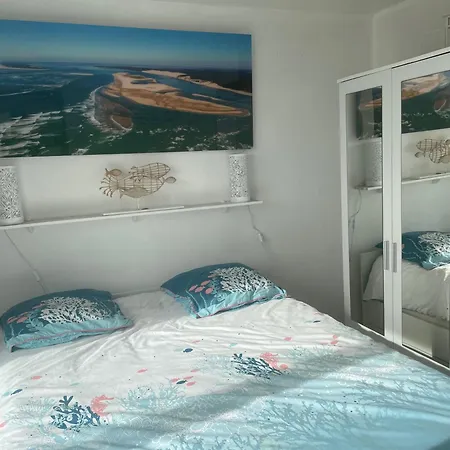 T3 Front De Ocean - 22m2 Terrasse -2 Piscines -wifi-parking Daire *